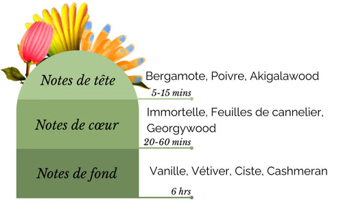 Notes de tête , notes de cœur et notes de fond pour Immortelle Babylon
