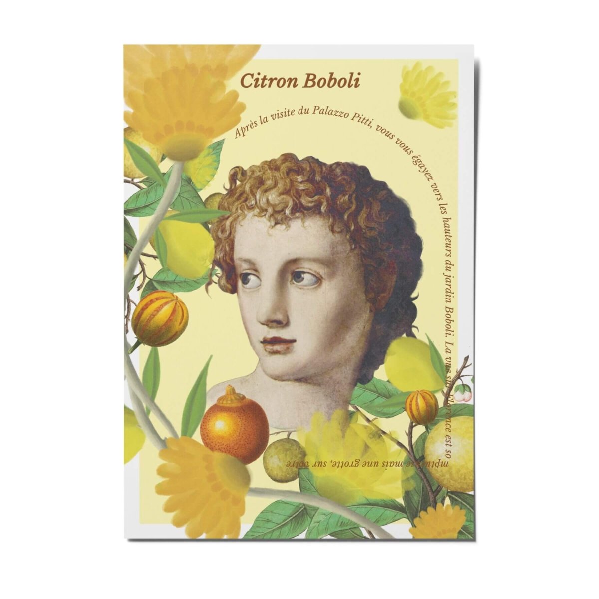 Citron Boboli - Carte Postale - Le Jardin Retrouvé