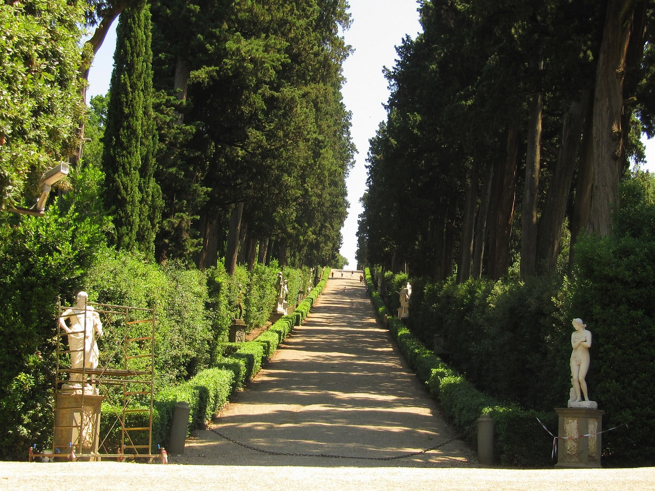 Image de référence du Citron Boboli du Jardin Retrouvé - parc en Florence Italie