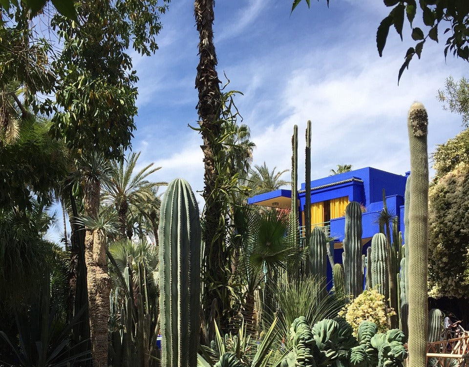 Image de référence pour le parfum Jasmin Majorelle du Jardin Retrouvé - on y vois le jardin Majorelle au Maroc