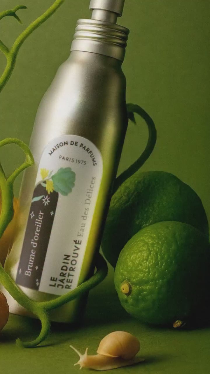 EDD MIST_instagram-video-2.mp4