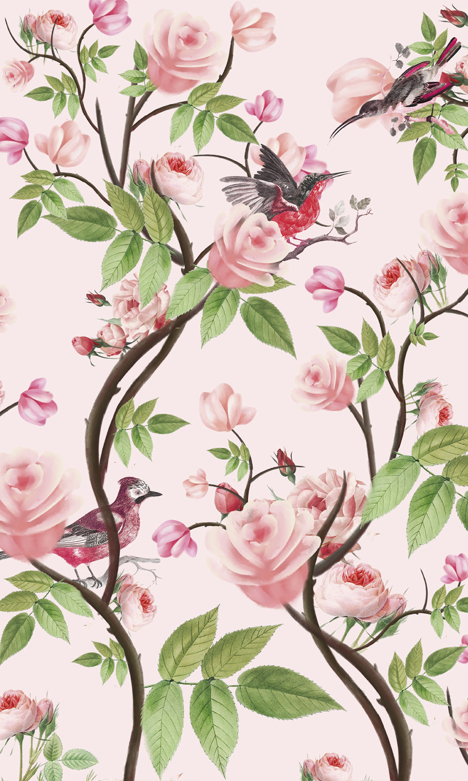 Fond d'écrans vintage du Rose Trocadéro du Jardin Retrouvé - fleurs, oiseaux, fond uni couleur